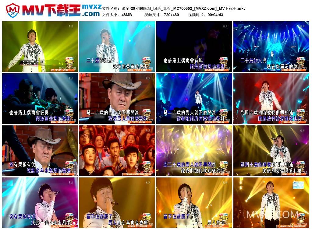 张宇-20岁的眼泪_国语_流行_MC700652